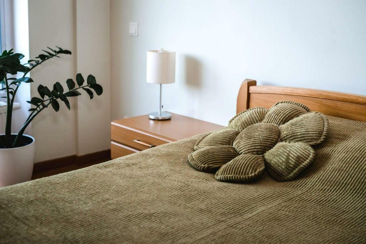 וילנה New Apartament Very Close To The City Centre מראה חיצוני תמונה