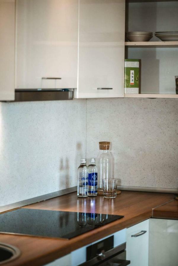 וילנה New Apartament Very Close To The City Centre מראה חיצוני תמונה